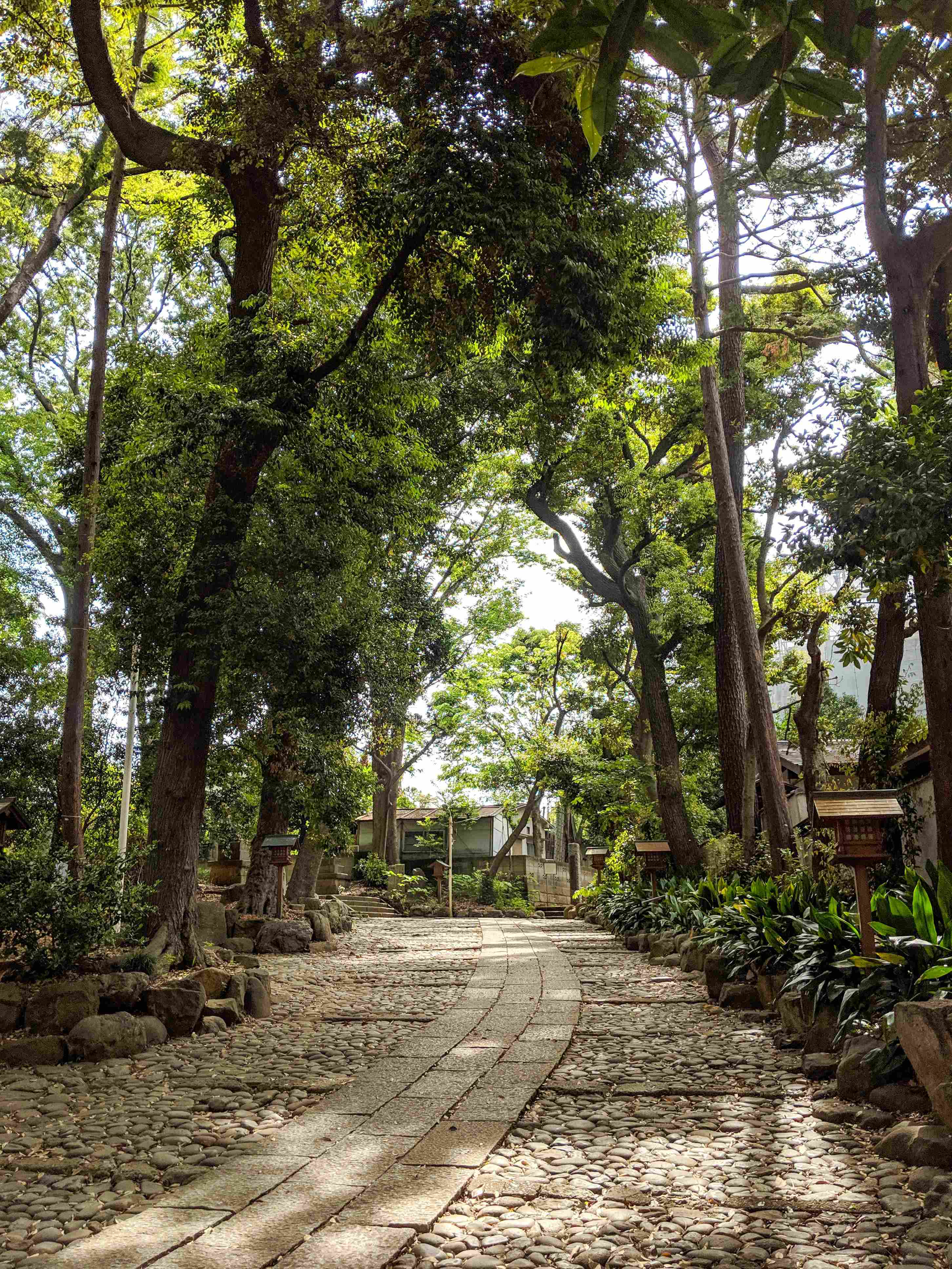 ⛩️ 요요기 하치만 신사(요요기하치만구) 이미지 8